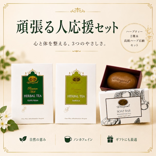 頑張る人応援セット　通常5652円