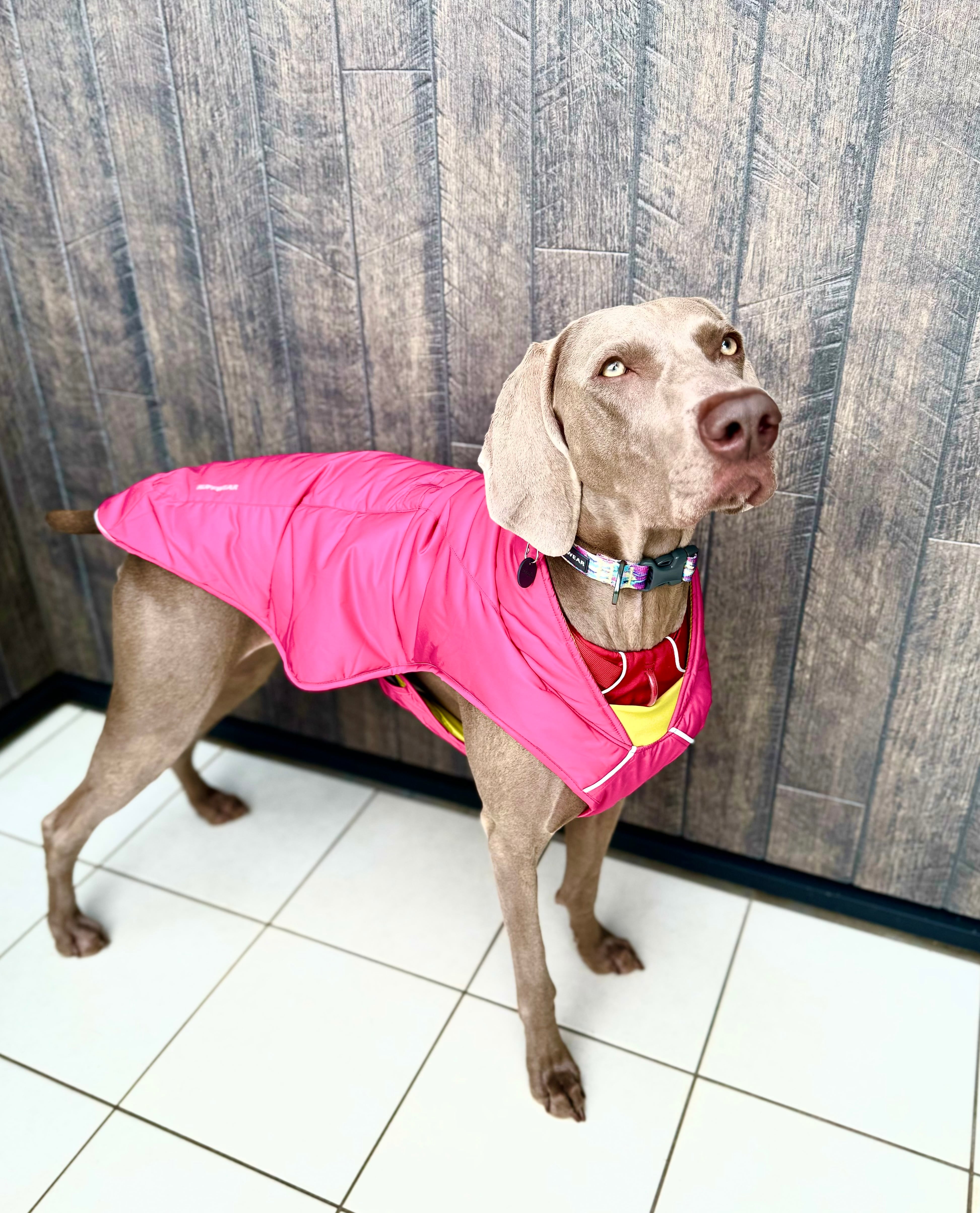 RUFFWEAR(ラフウェア) クインジードッグジャケット ファイヤーウィード