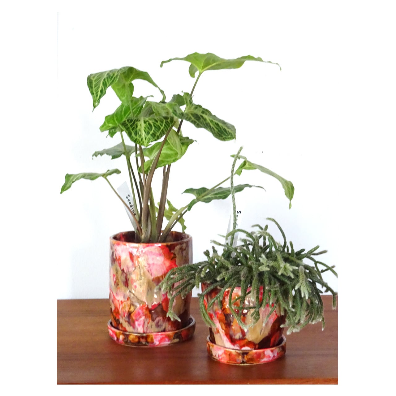 フラワーベース MONYO MONYO ceramic planter〈A〉 | Seeding