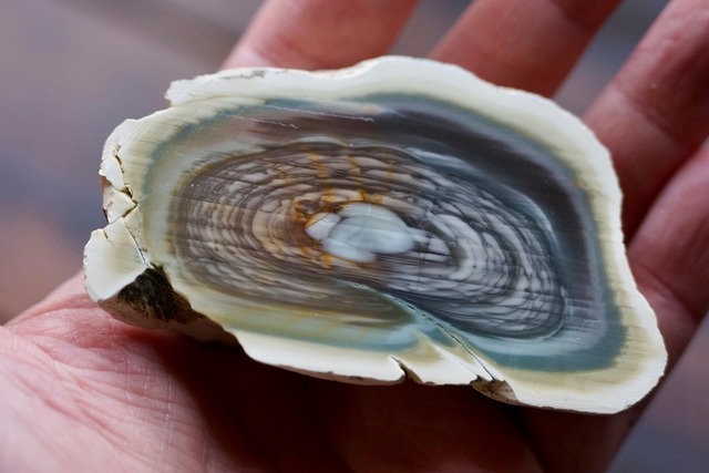 ロイヤルインペリアルジャスパー　Royal Imperial Jasper 18