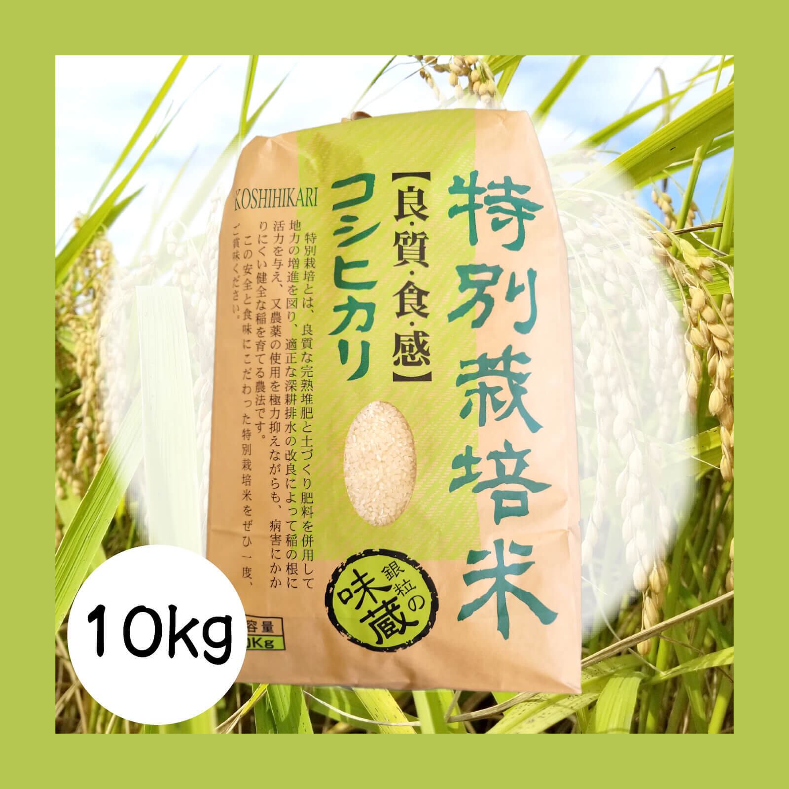鳥取県産 コシヒカリ 玄米 減農薬 10kg