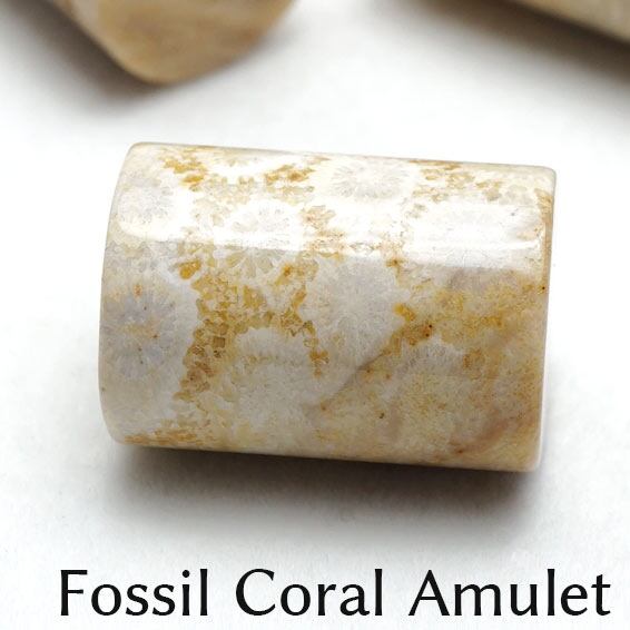 珊瑚 フォッシルコーラル お守り 1個 アミュレット 磨き石 穴なし ランダム発送 [M便 1/10] 712-128