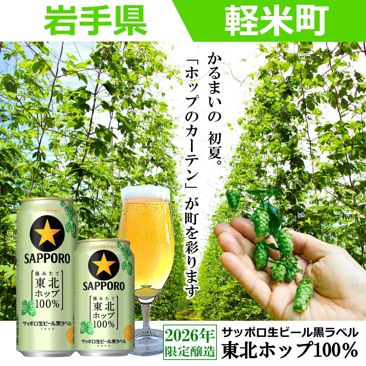 11/4発売／季節限定／エリア限定【2026年収穫軽米町産ホップ使用