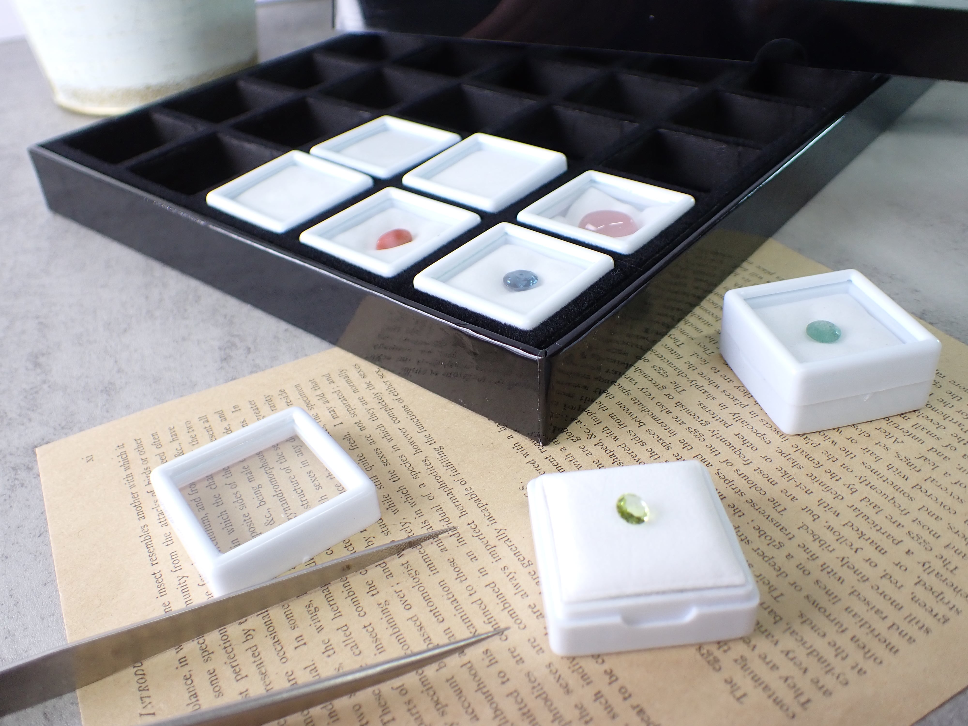 BLACK】3cmルースケースコレクションボックス | differencee(ディファ