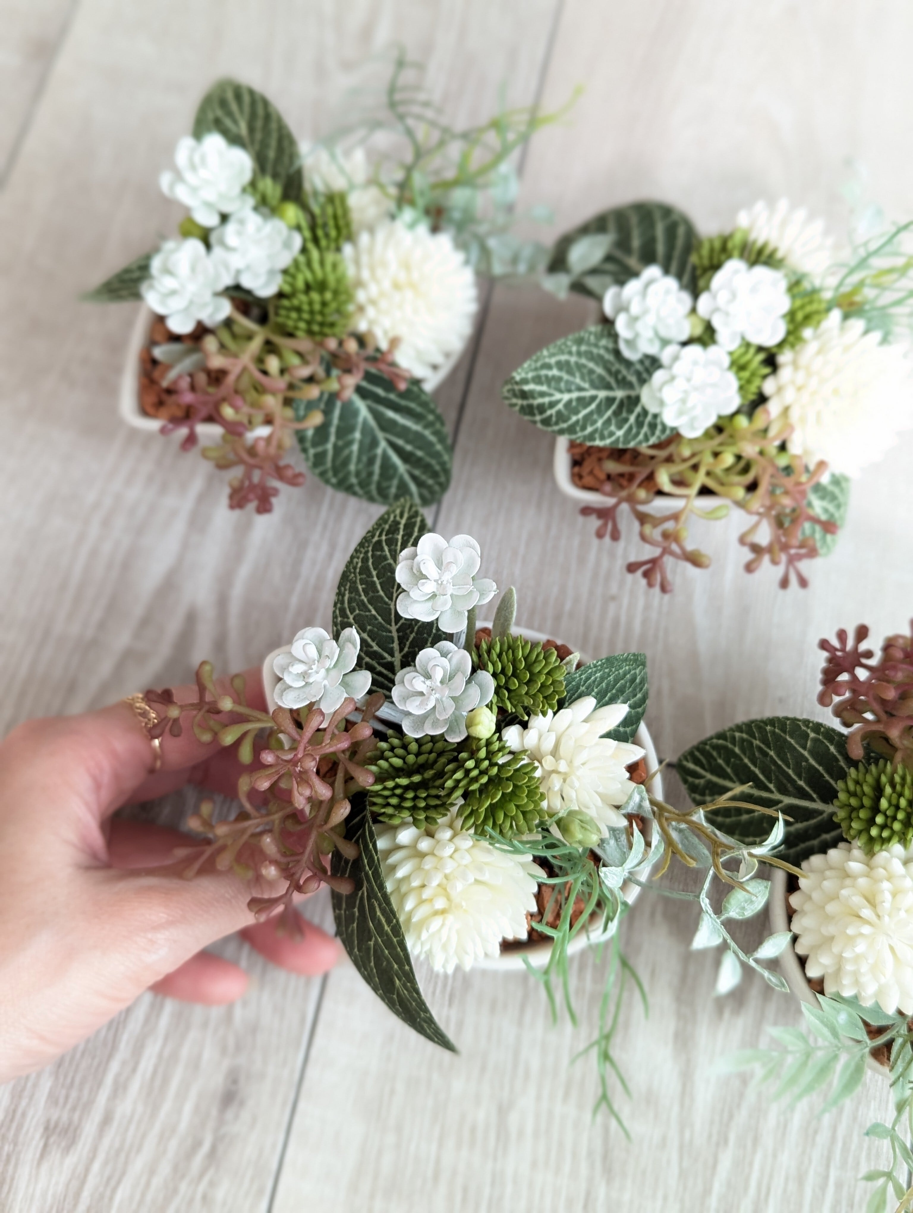 多肉植物＆グリーンアレンジメント ティアドロップボウル 寄せ植え風