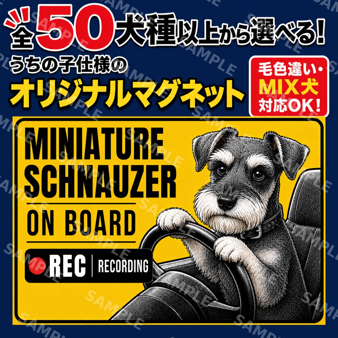 犬 ドライブステッカー マグネット 英語版 ミニチュアシュナウザー