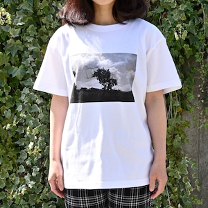 「青空の木」Tシャツ