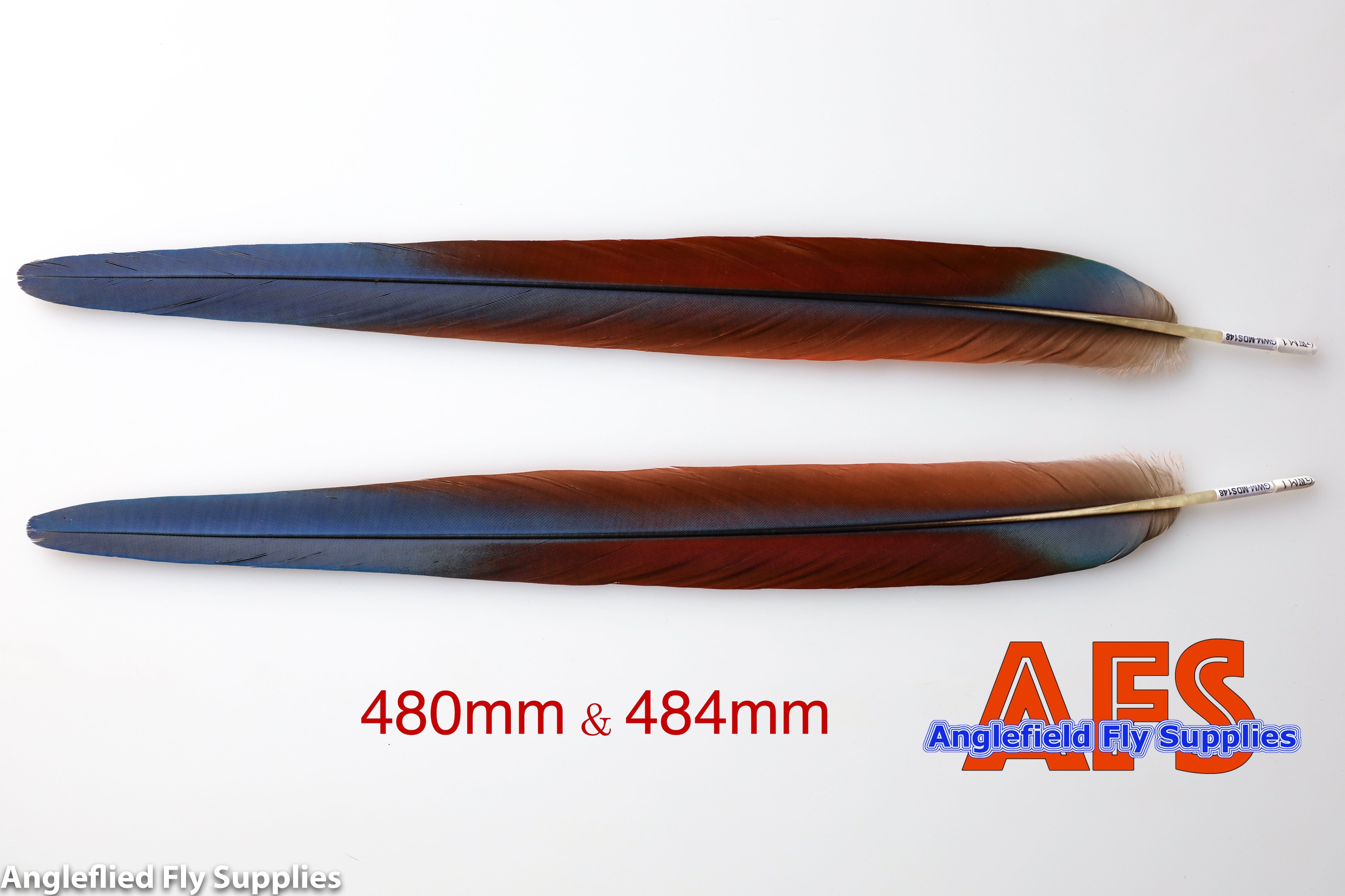 Macaw | Anglefield Fly Supplies