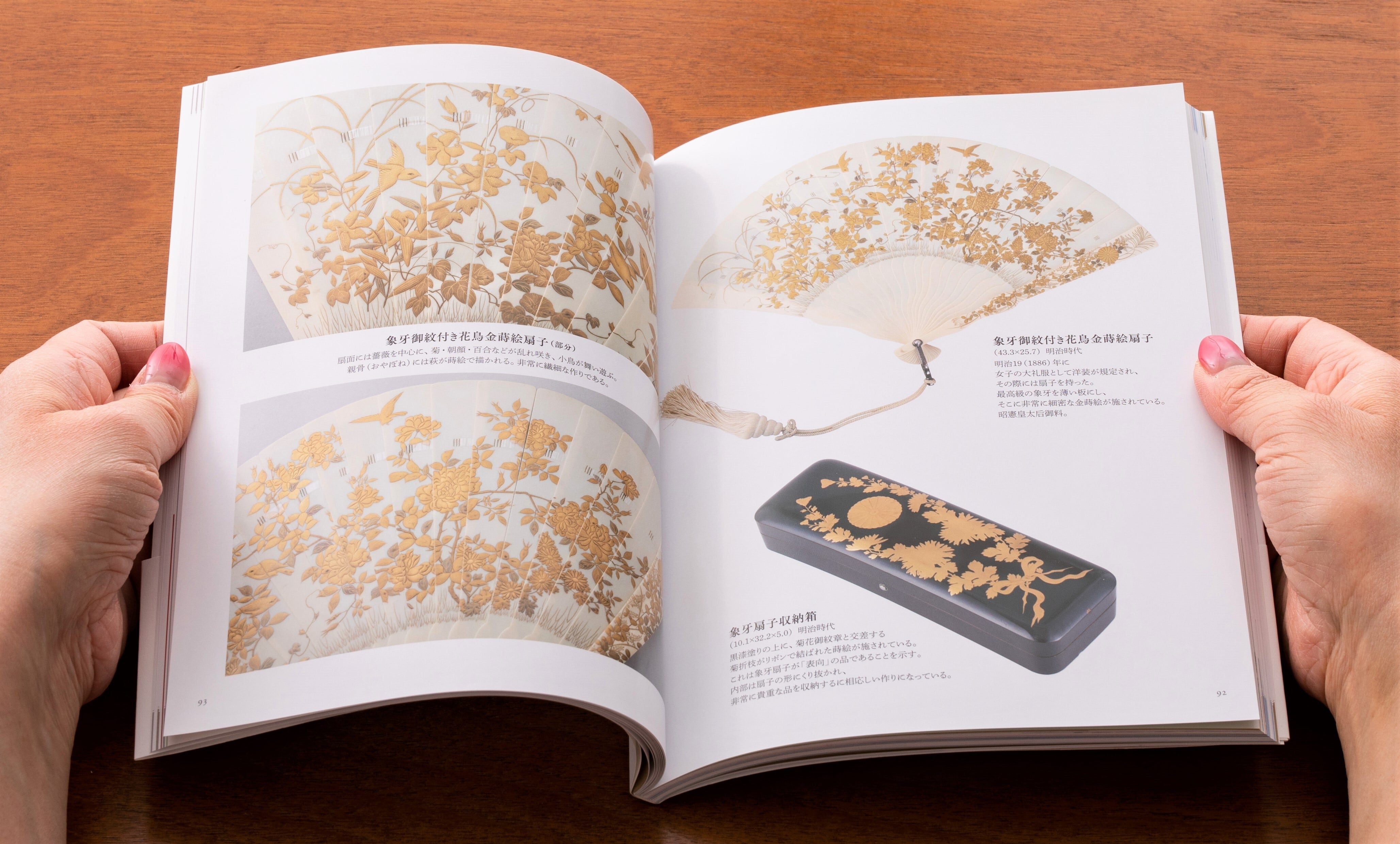 扇面 書 花鳥 菊 明治 【公式通販】