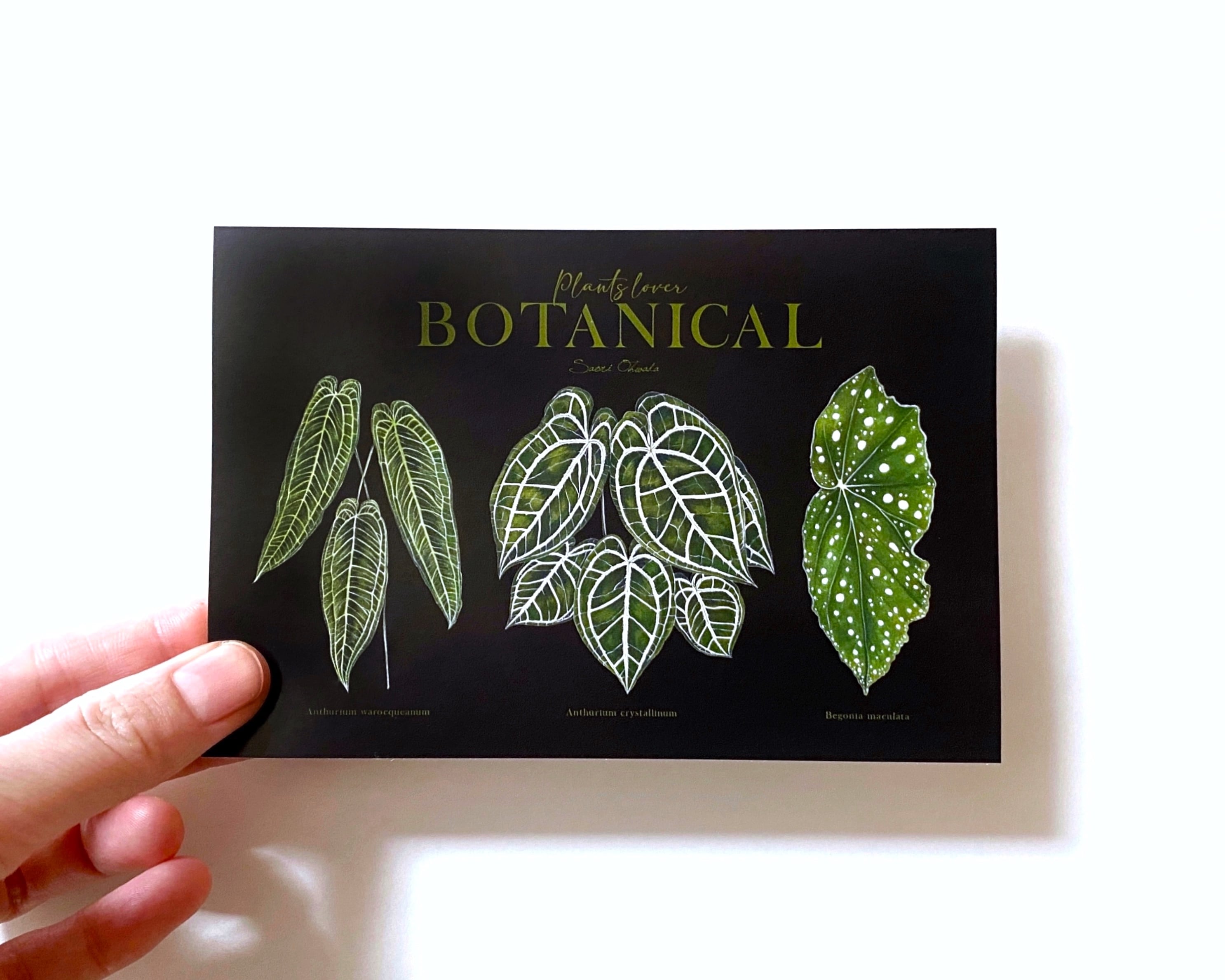 BOTANICAL LOVER ポストカード