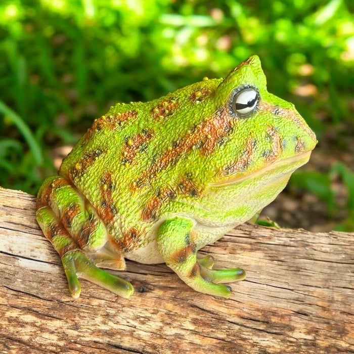 カエルの置物 かえる アマガエル リアル インテリア ガーデニング