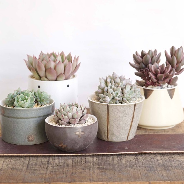 磁器植木鉢 MINI POP シリンダー  白ツヤドット