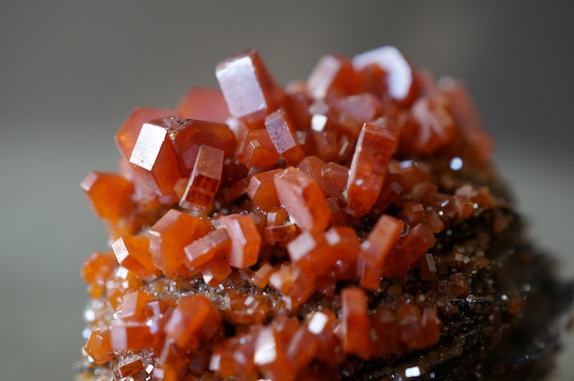 バナジナイト/バライト Vanadinite/Barite 2016