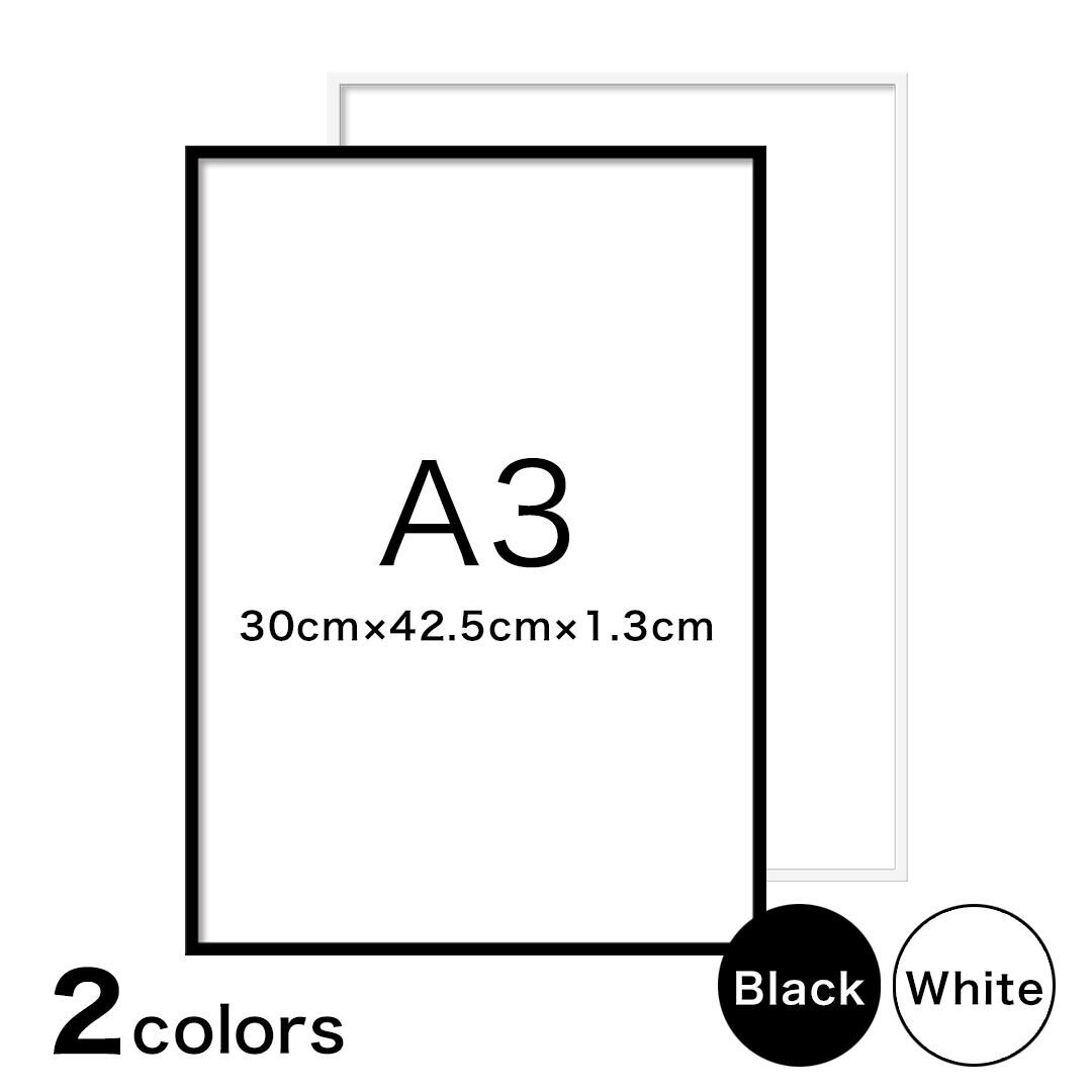 ポスターフレーム 単体 白 黒 A3 サイズ F00a3 Linslオリジナル Linsl リンスル アートポスター モダンインテリア ポスターフレーム 単体 白 黒 A3 サイズ F00a3 Linslオリジナル Linsl リンスル アートポスター モダンインテリア