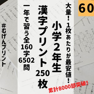 小学2年生漢字プリント250枚、1年間たっぷり使える問題集プリント、漢字検定、小学校、国語教科書