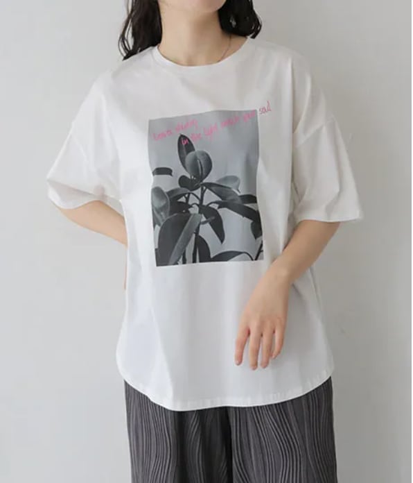 特別企画☆人気のドライタッチコットン☆プラントフォトTが今だけお得!