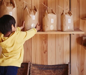 【金鵄米 /５分づき/10kg】きんしまい2024年産：炊飯カンタン栄養残る5分づき！冷めても美味しいヒノヒカリ