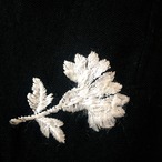 50s Embroidery Linen Shorts