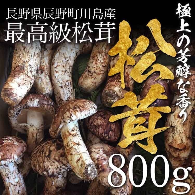 松茸 北海道 800g 送料込①-