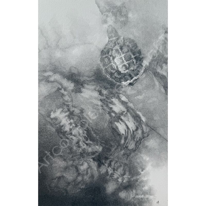 酒井祥子「境い目」