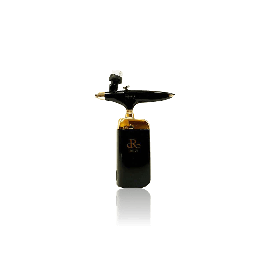 REVI スプレーガン（陶肌セラム30本セット） REVI ルヴィ ハンディ