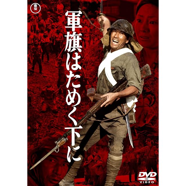 映画 彷徨う魂 [DVD] | PAY ID