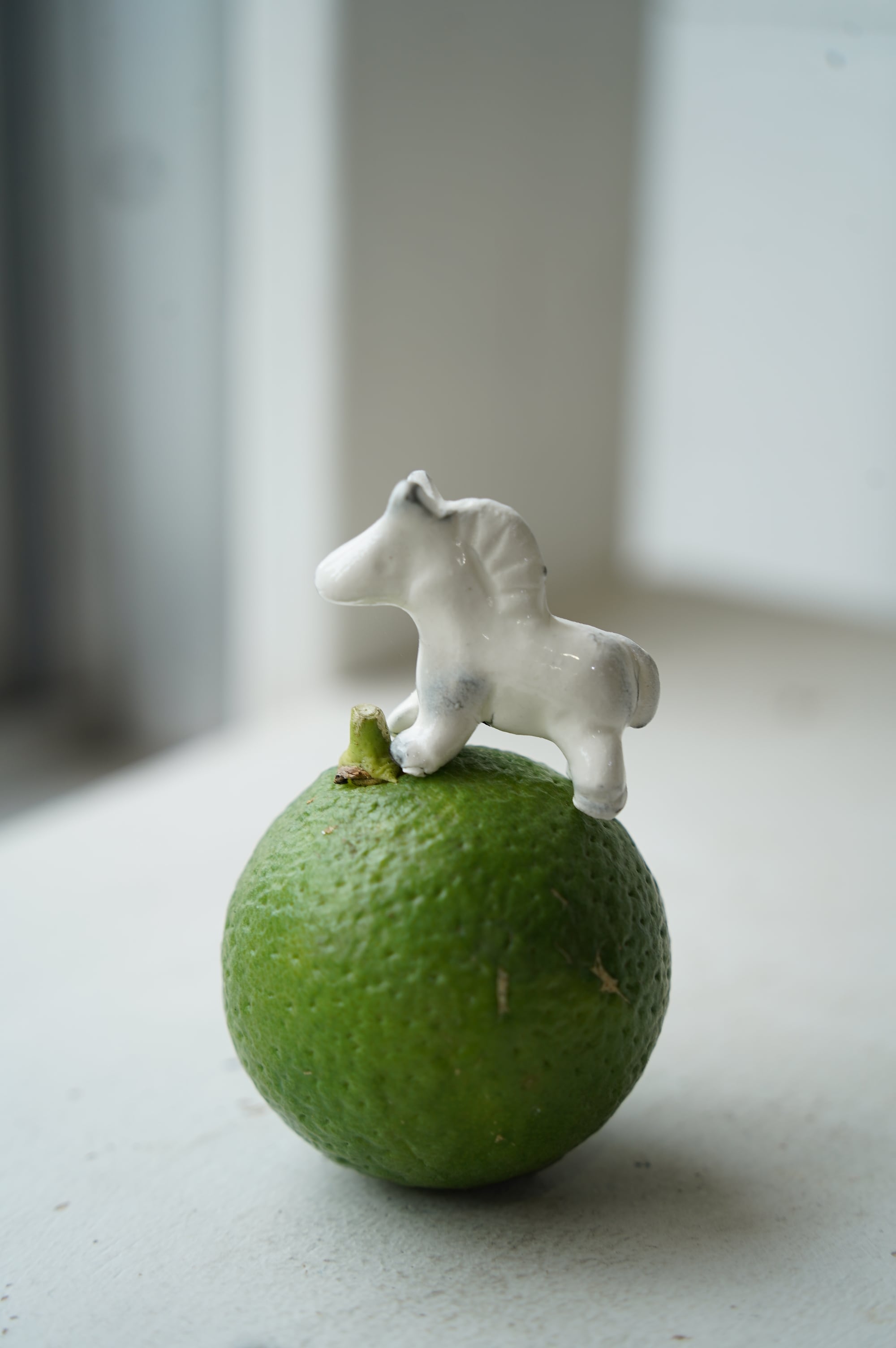 898b18c5459fc37a0371454f7f4996