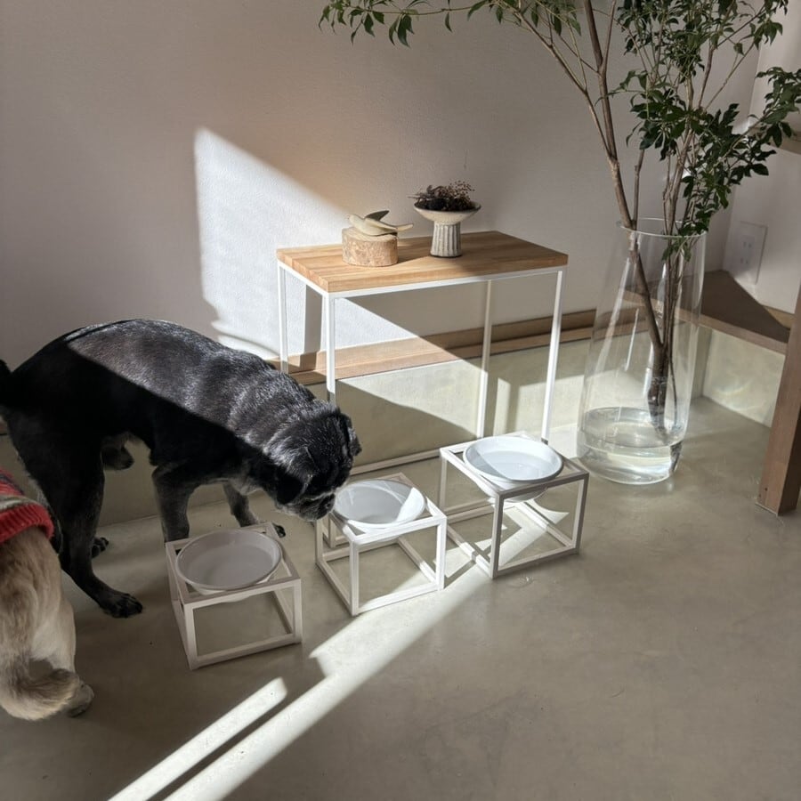 ボウルスタンド L／野田琺瑯ボウル16㎝付き【Tabete Cube