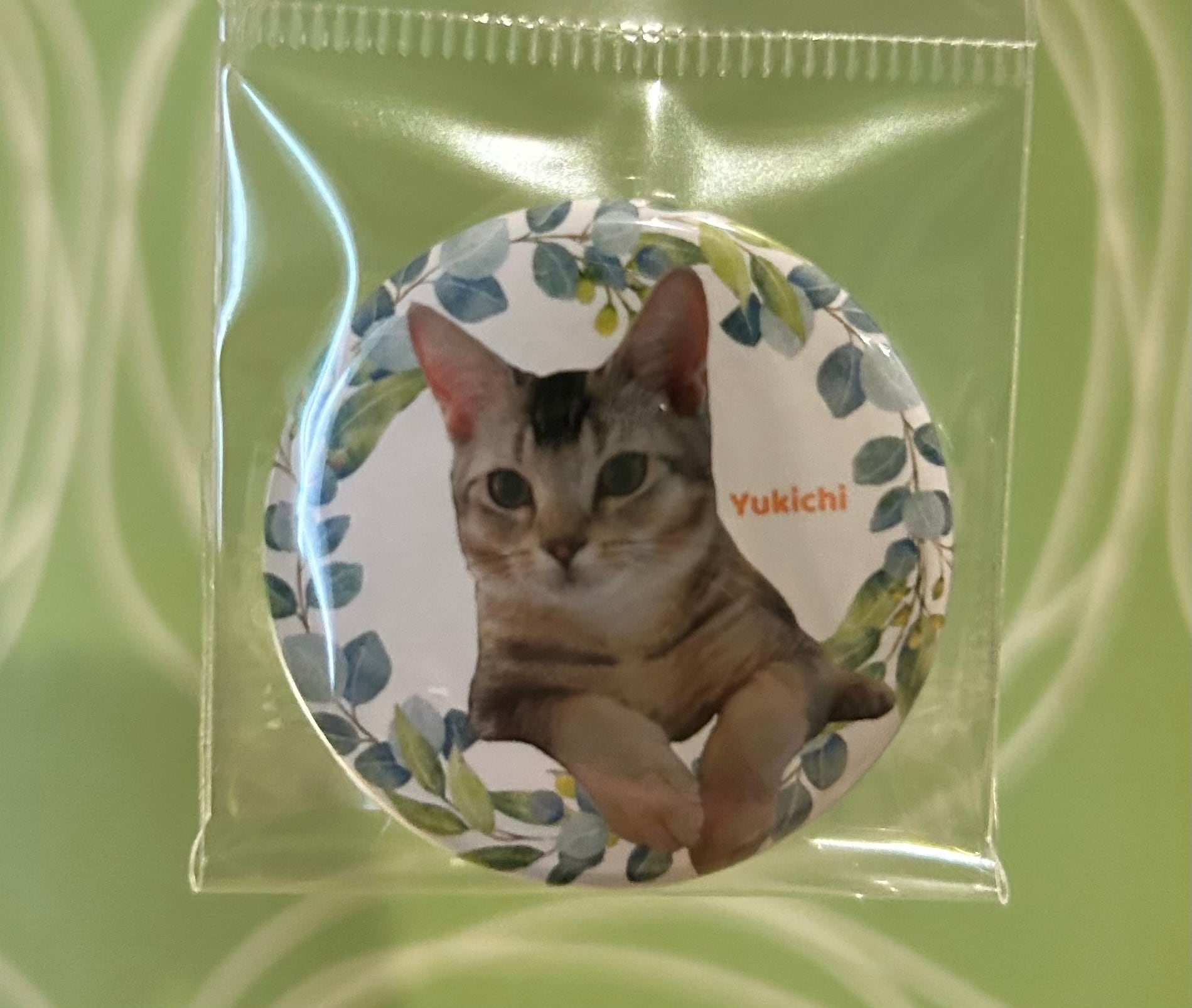 在籍猫スタッフたちのオリジナル缶バッジ♪ 各種 | ねこｶﾌｪなる ｜長野