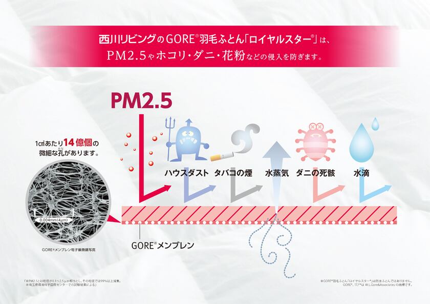 アトピー協会推薦羽毛布団 【GORE (ゴア) ロイヤルスター羽毛ふとん
