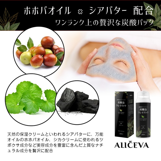アリセバ 炭酸泡クレイパック 毛穴パック フェイスケア 100g Aliceva アリセバ