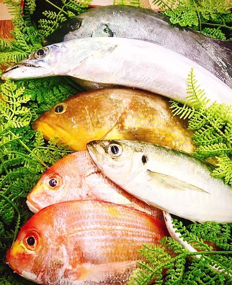 竹野鮮魚　定期便】長崎の旬の魚・詰め合わせ（何が届くかお楽しみ！）　WEBショップ