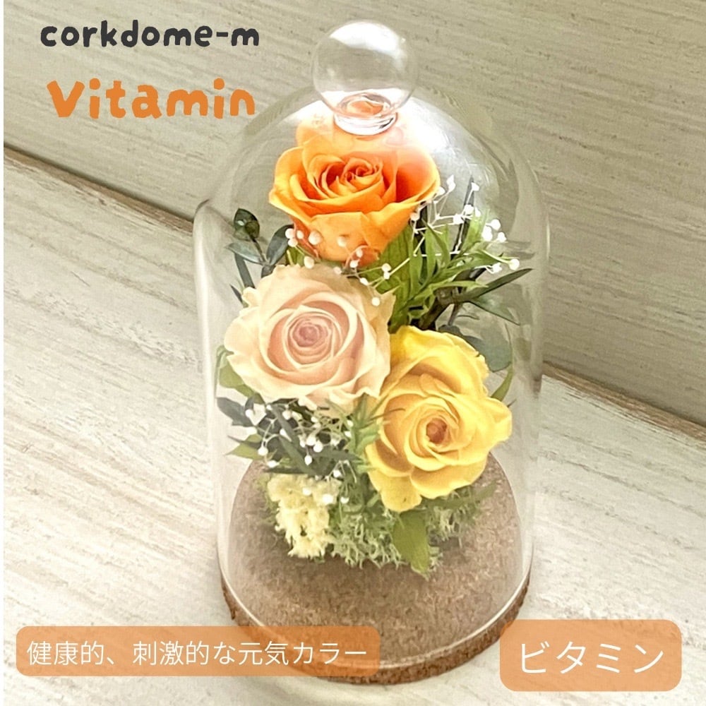母の日 花 ギフト 2026 プリザーブドフラワー ガラスドーム 誕生日
