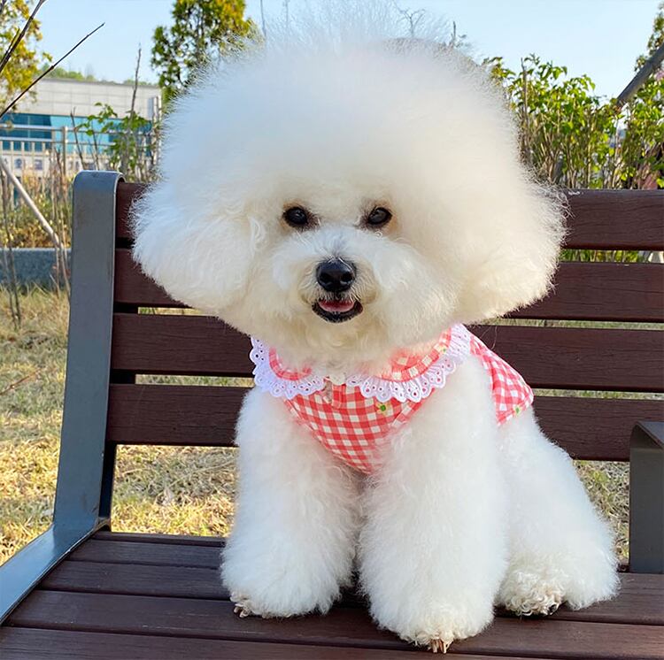 【SALE】丸襟チェック柄トップス XS ~ XL 3color / 犬服 春夏 新作 ドッグウェア チェック柄 丸襟 小型犬 中型犬 犬 服 トップス 袖なし ペット用品 ペット洋服