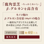 麗 -うるわし- MT　お試し商品