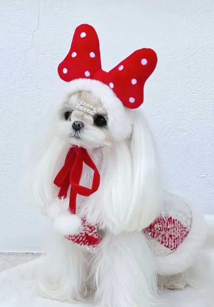 《予約》AB0017 Festive Polka Dot Bow Hat