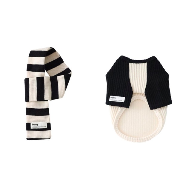 〈 即納アイテム 〉Dverry Tシャツ /コージーラグランニットTシャツ（ブラック)