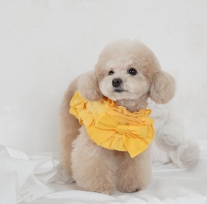 M/即納【COZY N】cozy n Harness Corduroy《Yellow》