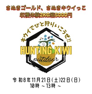 キウイでひと狩りいこうぜ‼︎(キウイ収穫体験)2kg箱(約1〜3名様分)11月21日(土)22日(日)分