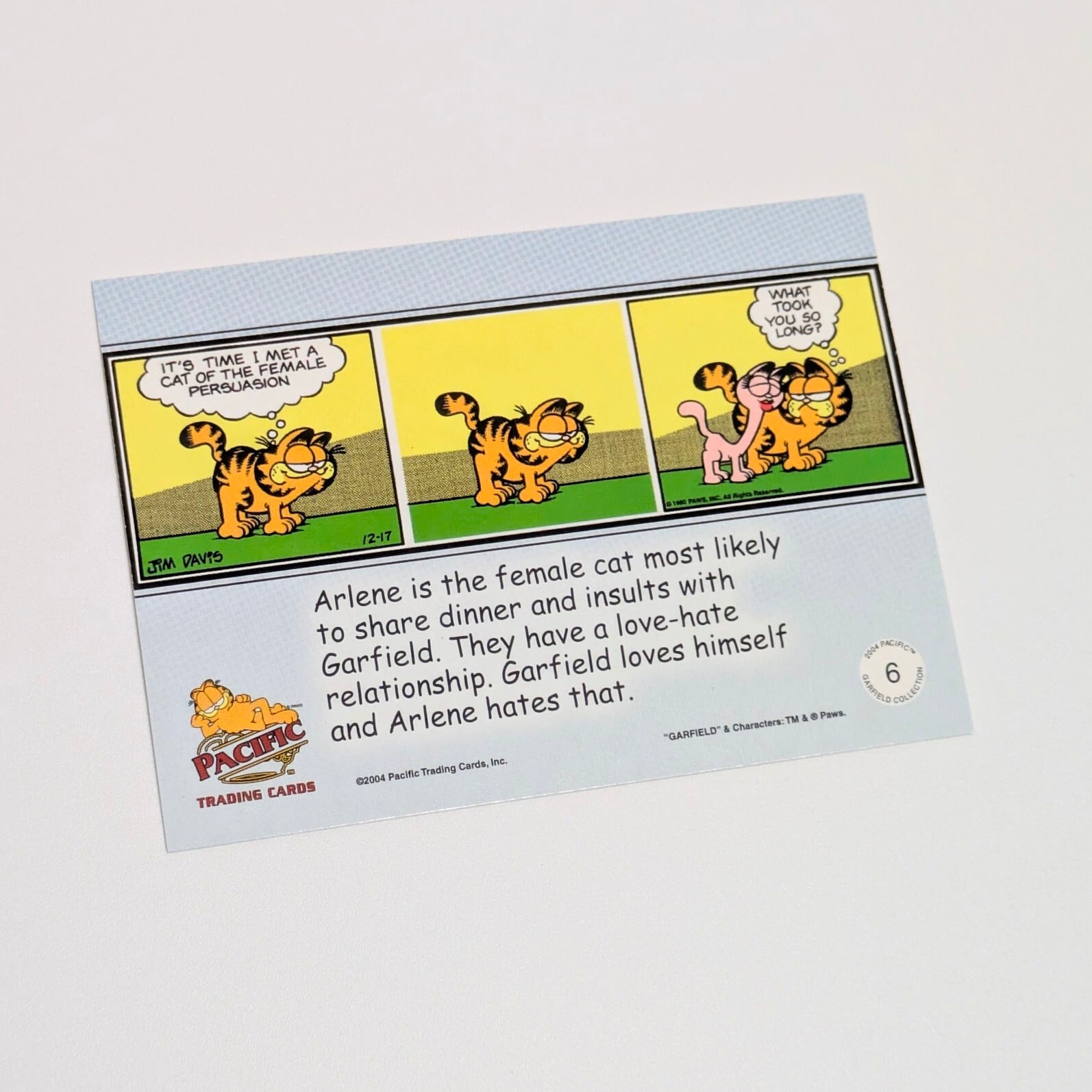 送料無料！☆ DEADSTOCK / VINTAGE 2004 ☆【 Garfield