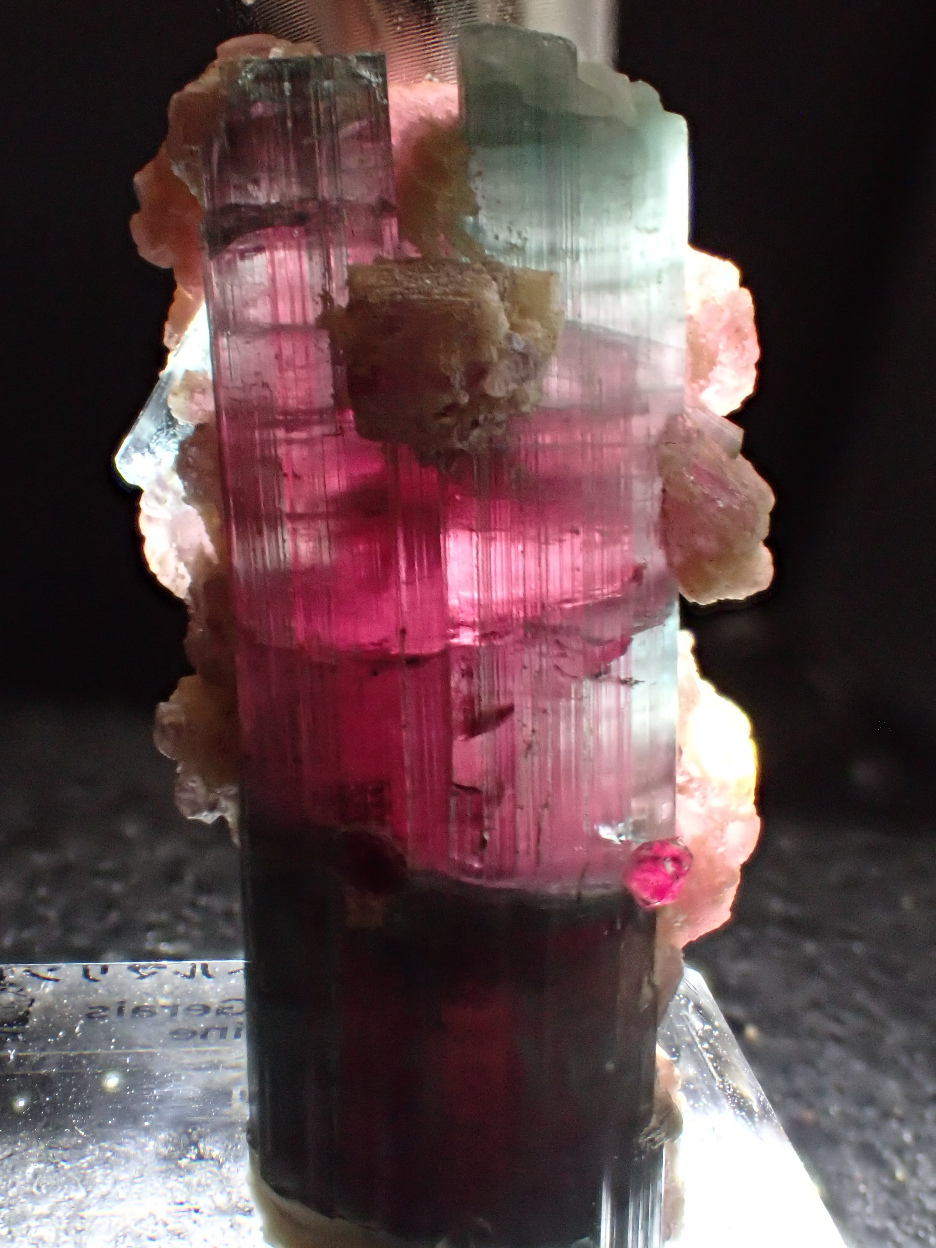 トルマリン　ウォーターメロントルマリン　鉱物標本　原石　305 最高品質ウォーターメロン・トルマリン(Watermelon Tourmaline) K18TOP