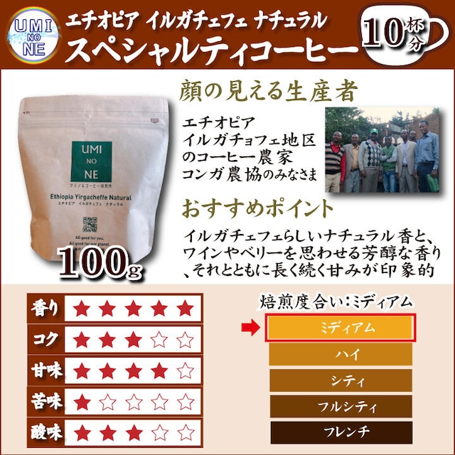 ５種類 コーヒー豆 飲み比べセット 100ｇ×各1袋 ウミノネ シーズナル ブレンド(グアテマラ・エチオピア・タイ)  インドネシア エチオピア