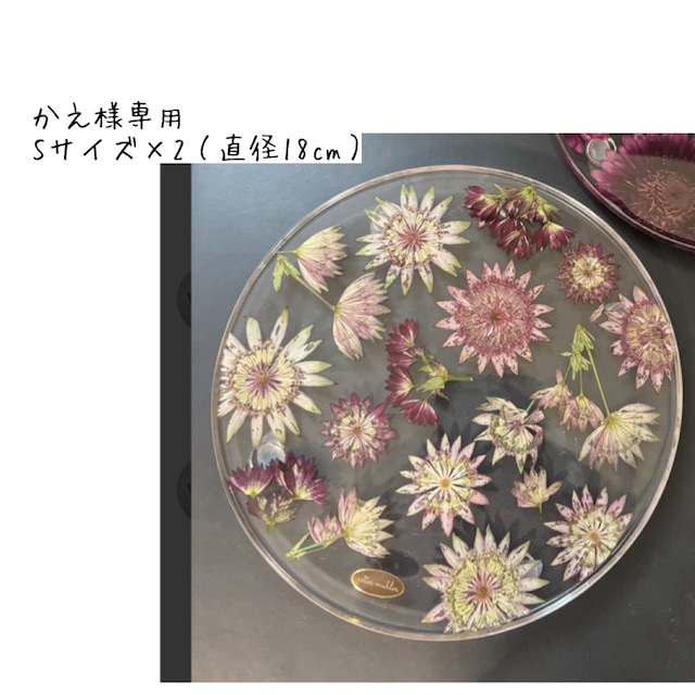 かえ様専用 Sサイズ×2（直径18cm）