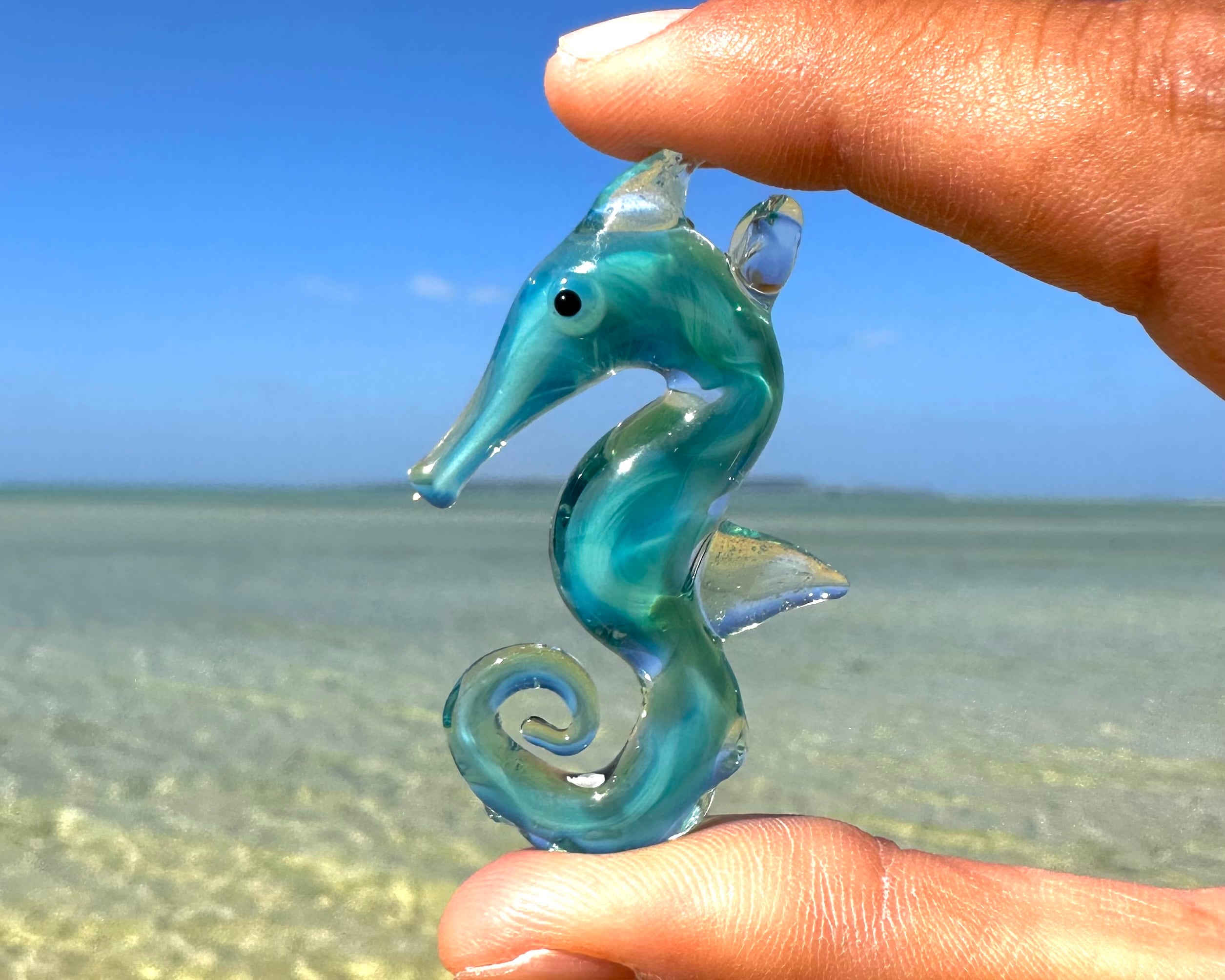 【Seahorse 】