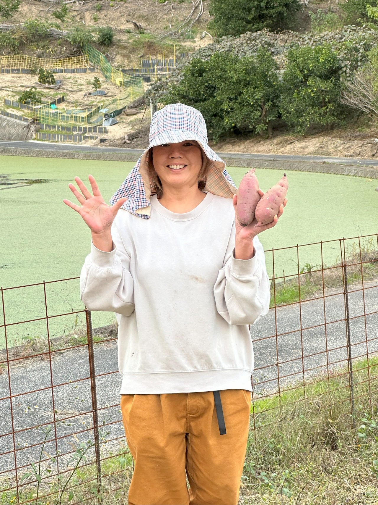 【農薬化学肥料不使用】一カ月熟成ねっとり紅はるか・皮までおいしい 2キロ