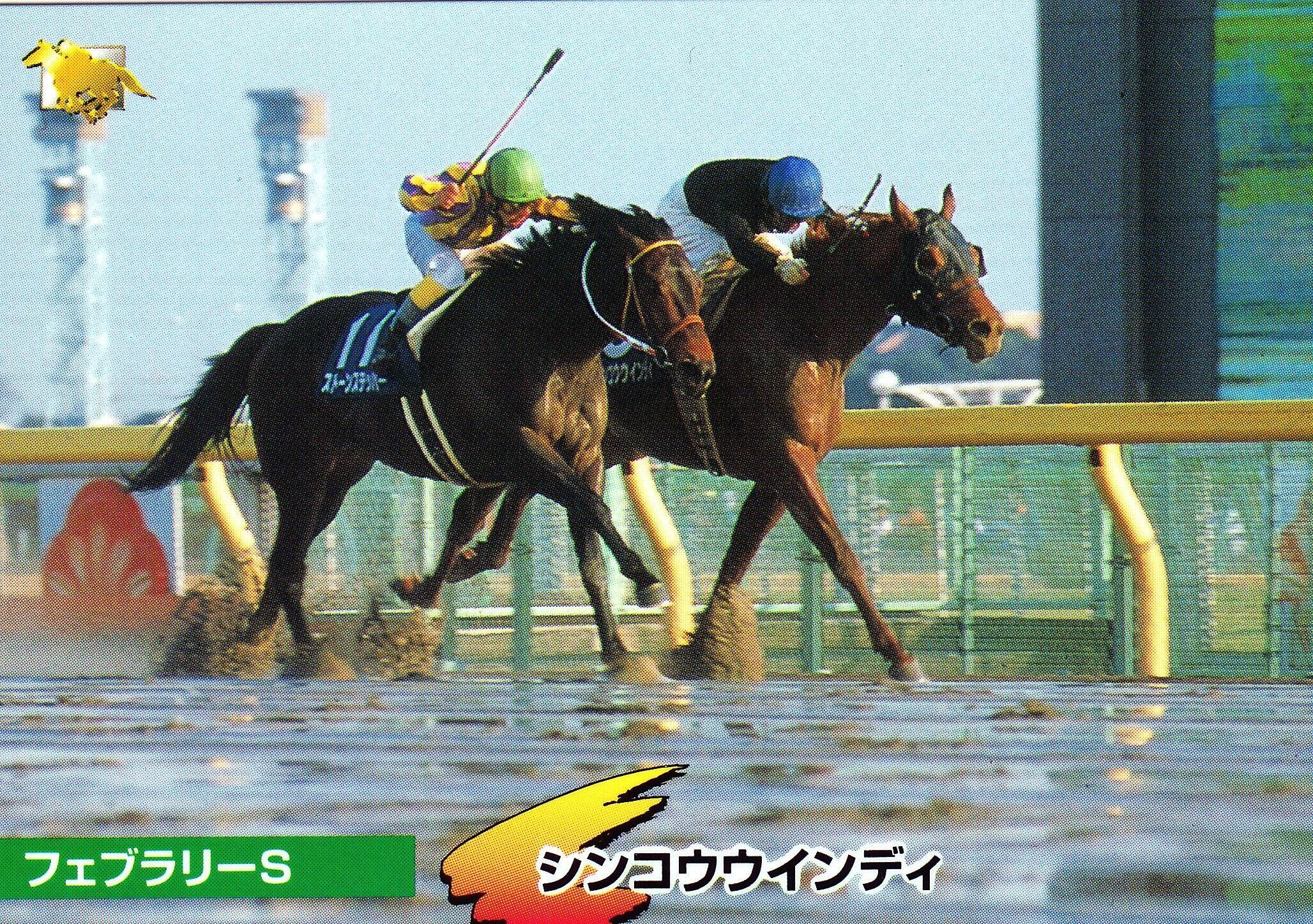 シンコウウインディ 第14回 フェブラリーステークス 6人気 1着