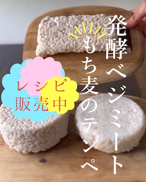 【レシピ】発酵ベジミート