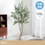 光触媒人工観葉植物 オリーブ 幅70cm×奥行60cm×高さ170cm
