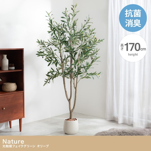 光触媒人工観葉植物 オリーブ 幅70cm×奥行60cm×高さ170cm
