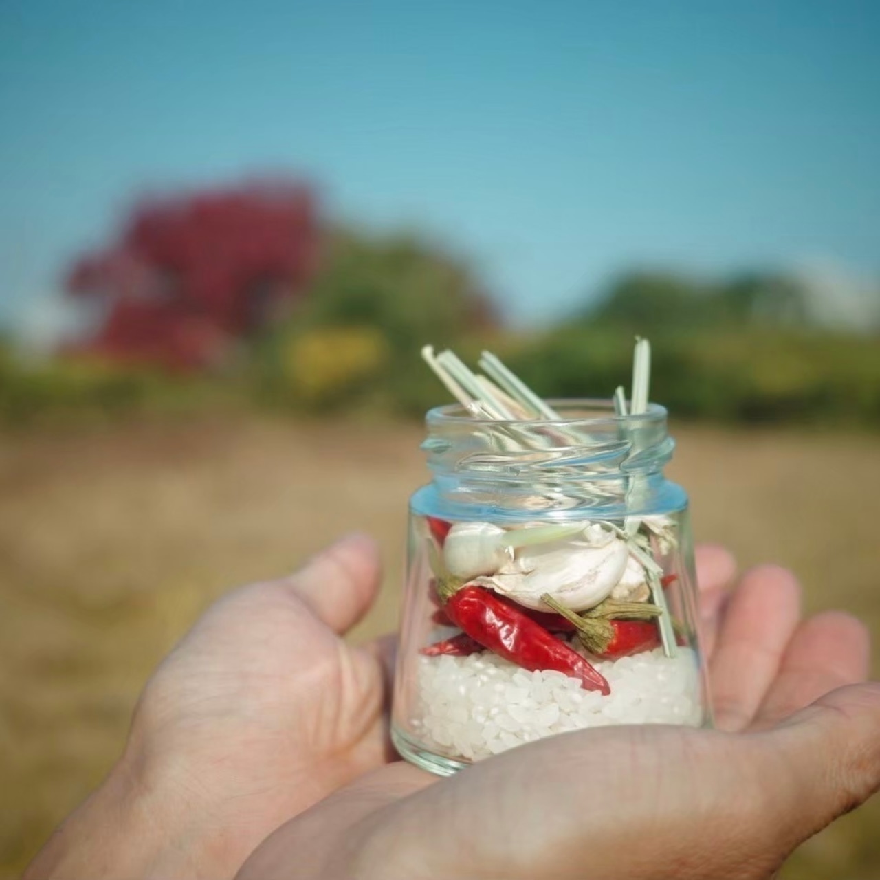 レモングラス香る食べるラー油 25g【巣箱加工部】